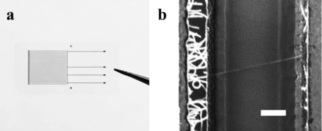 Figure  6.9  Suspended  CNT  transistor  a.  Optical  image  of  the  transistor.  b.  SEM  image  of  a  suspended CNT after synthesis