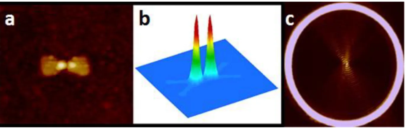 Figure 1.5 – AFM scan of nano bowtie antenna (a), with highly localized intensity  enhancement demonstrated by residual photoresist exposed by plasmonic lithography,  and confirmed by FDTD near-field intensity profile in antenna plane (b)