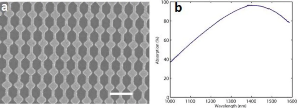 Figure 3.2 – Electron micrograph (a) of an array of bowtie antennas in a metamaterial  perfect absorber geometry (scale bar 500 nm)