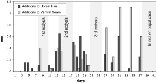Figure 2-6.  Temporal patterns of case construction. Depicted are measurements (in  mm) of new fecal material additions to the case of a willow host form individual (see Fig