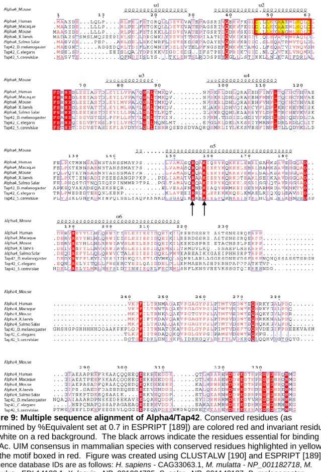 Figure 9: Multiple sequence alignment of Alpha4/Tap42. Conserved residues (as 