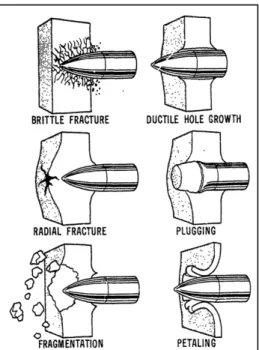 Figure 6.1 Failure modes in impacted plates [149] 