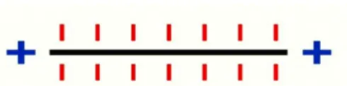 Figure 3.5 PPNC particles are negatively charged along axis and positively charged on  the ends 