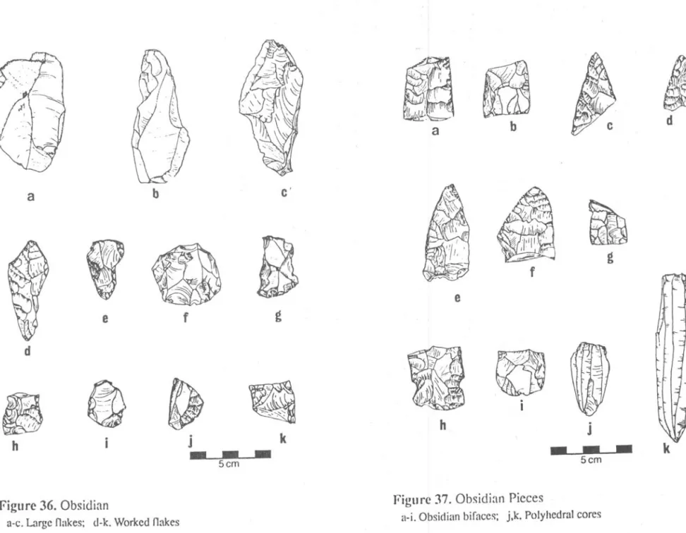 Figure  36. Obsidian 