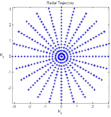 Figure 1.2 . Trajectory of Radial MRI in k-space. 