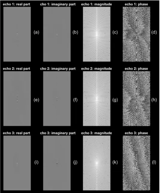 Figure 2.2 . Mineral oil Cartesian k-space: Panel (a) through (d) are real part, imaginary part,  magnitude and phase information for the first echo; Panel (e) through (h) are for second echo; 