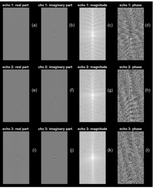 Figure 2.3 . Peanut oil Cartesian k-space: Panel (a) through (d) are real part, imaginary part,  magnitude and phase information for the first echo; Panel (e) through (h) are for second echo; 