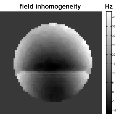Figure 2.6 . Estimated field inhomogeneity map for Cartesian mineral oil data using IDEAL  method