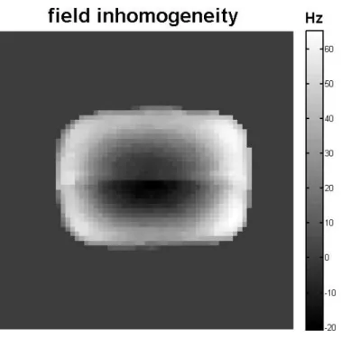 Figure 2.7 . Estimated field inhomogeneity map for Cartesian peanut oil data using IDEAL  method