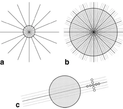 Figure 3.1 . The basic idea of GROWL. a: undersampled radial k-space data with its central  portion (Nyquist circle, highlighted in gray) inside which the Nyquist criterion is satisfied