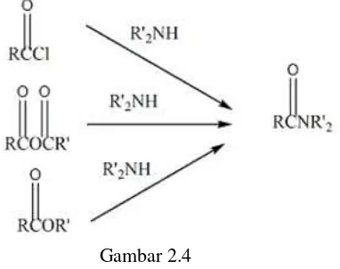 Gambar 2.3 Contoh Struktur amida yang penting (Fessenden, 1999): 