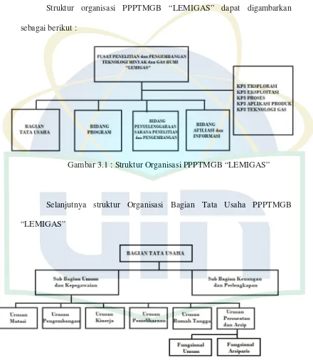 Gambar 3.1 : Struktur Organisasi PPPTMGB “LEMIGAS” 