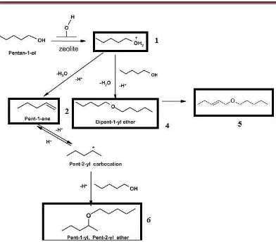 Figure 5. Schematic Possible Mechanism of 1-pentanol Dehydration as modified from Mohammed and El-Esaimi[8]  