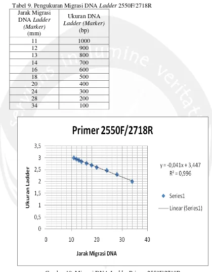 Gambar 19. Migrasi DNA Ladder Keterangan : Pengukuran jarak migrasi DNA Primer 2550F/2718R Ladder dengan grafik linier 