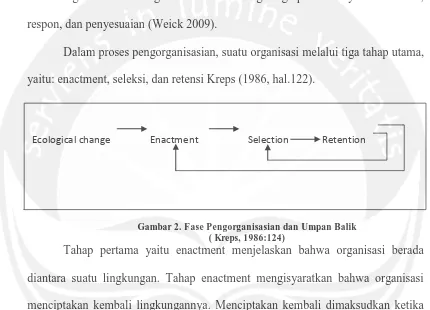 Gambar 2. Fase Pengorganisasian dan Umpan Balik ( Kreps, 1986:124) 