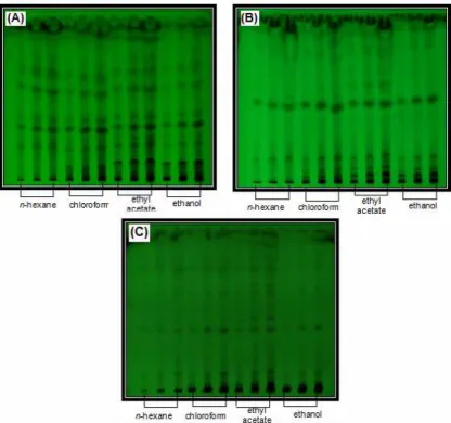 Figure  1.  Chromatogram  profile  (λ  =  254  nm)  on  TLC  silica  plates  of  n-hexane,  chloroform,  ethyl  acetate,  and  ethanol  extracts  after  elution  with  A)  n-hexane  :  ethyl  acetate  (7  :  3  v/v);  B)  chloroform : ethyl acetate (9 : 1 