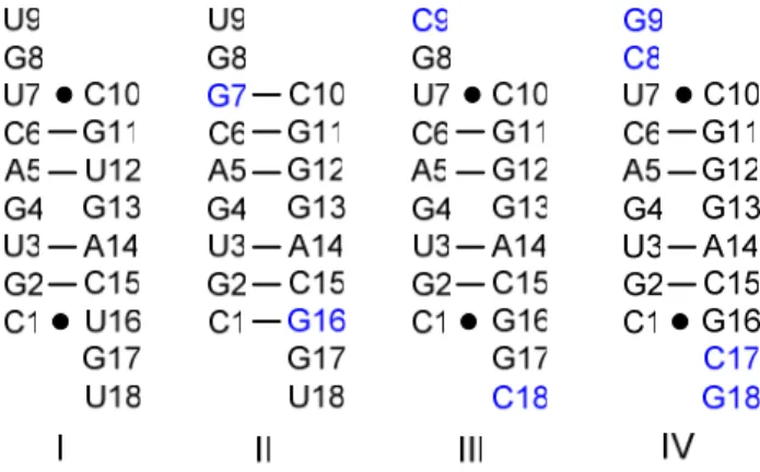 Figure  1.  Sequences  of  the  duplexes  used  in  this  study.  The  modified  residues  shown  in  blue  color are derived from naturally occuring siRNA (structure I from PDB 1SI3) (Ma, 2004)