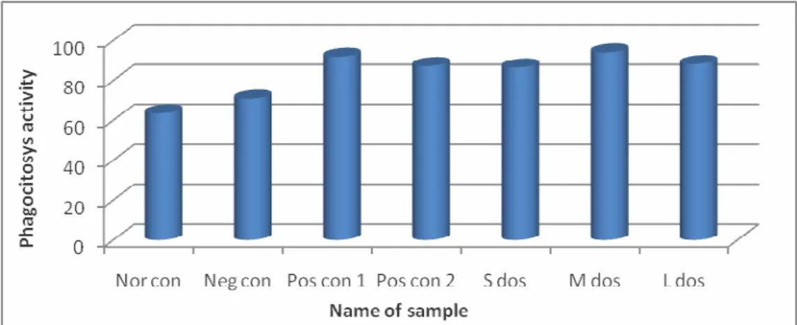 Figure 1. Effect phagocitosys activity of mixture of betle, gambier and slaked lime to macrophage cell  of mice 