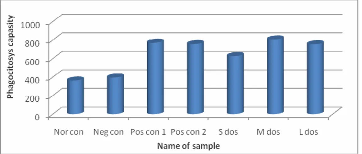 Figure 2. Effect phagocitosys capasity of mixture of betle, gambier and slaked lime to macrophage cell  of mice 