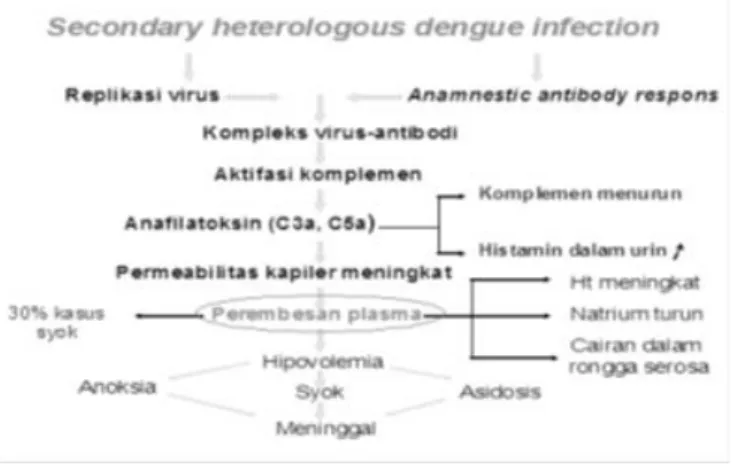 Gambar 2.1 Bagan Hipothesis Infeksi Sekunder dari Suvatte ( Chen et al, 2009)  2.1.3 Gejala Klinis DBD 