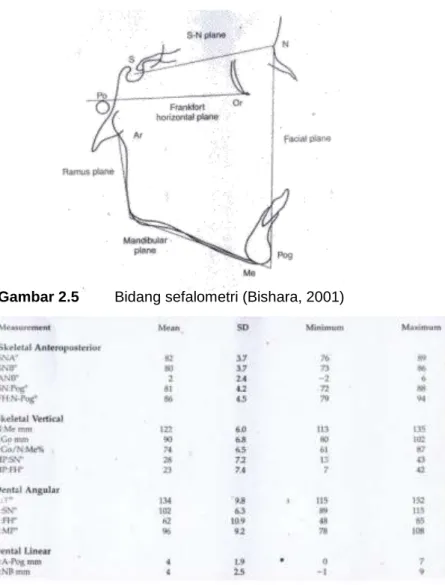 Gambar 2.5  Bidang sefalometri (Bishara, 2001) 