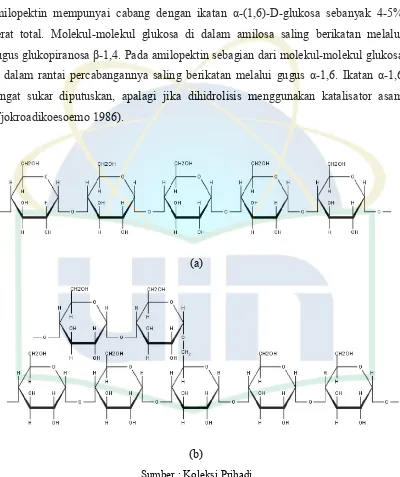 Gambar 2.4. (a) Struktur Amilosa dan (b) Satruktur Amilopektin 