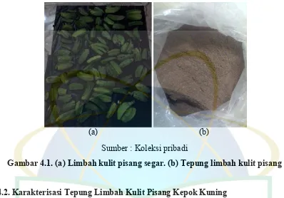 Gambar 4.1. (a) Limbah kulit pisang segar. (b) Tepung limbah kulit pisang 