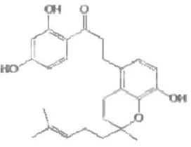 Gambar 2. Struktur Dasar Flavonoid (Harborne, 1987) 