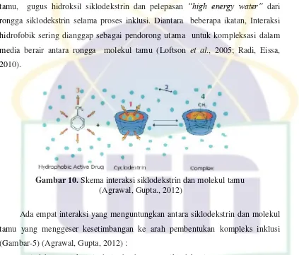 Gambar 10. Skema interaksi siklodekstrin dan molekul tamu 