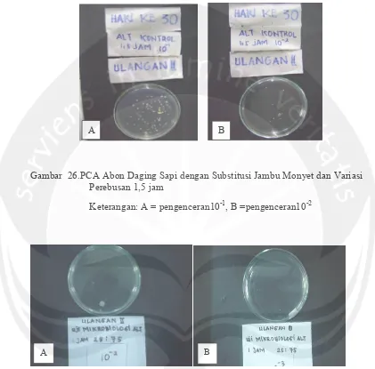 Gambar  26.PCA Abon Daging Sapi dengan Substitusi Jambu Monyet dan Variasi 