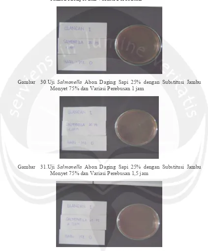 Gambar  30.Uji Salmonella Abon Daging Sapi 25% dengan Substitusi Jambu 