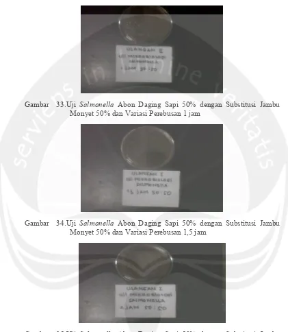 Gambar  35.Uji Salmonella Abon Daging Sapi 50% dengan Substitusi Jambu Monyet 50% dan Variasi Perebusan 2 jam  