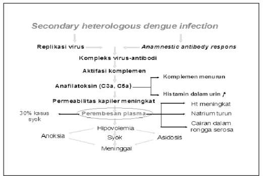 Gambar 2.1 Bagan Hipothesis Infeksi Sekunder dari Suvatte ( Chenet al, 2009)  2.1.3Gejala KlinisDBD 