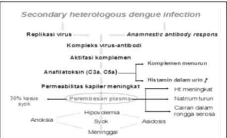 Gambar 2.1 Bagan Hipothesis Infeksi Sekunder dari Suvatte ( Chen et al, 2009)             