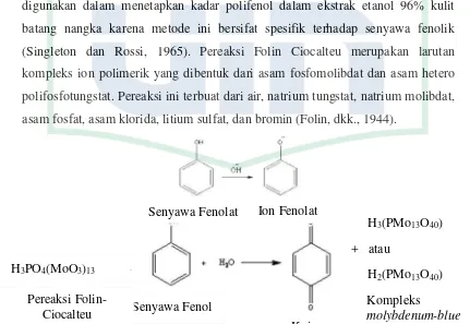 Gambar 2.5 Reaksi Folin Ciocalteu dengan Senyawa Fenol