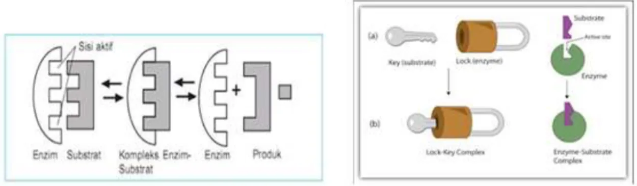 Gambar 5.6 Lock dan Key 