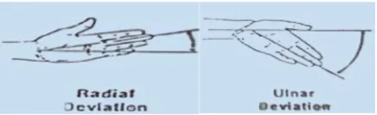 Gambar 2.3 posisi deviasi ulnar dan posisi  deviasi radial pada pergelangan tangan 