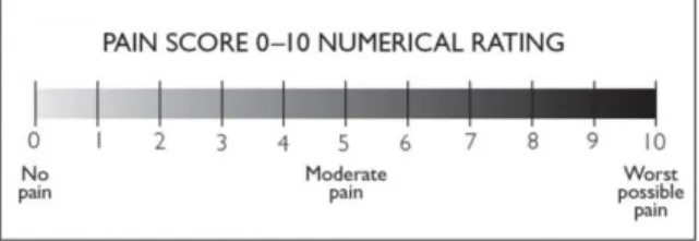 Gambar  2 numerical rating scale ( NRS)