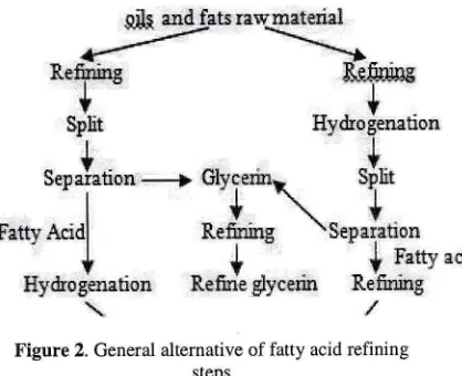 Figure 2. General alternative of fatty acid refining