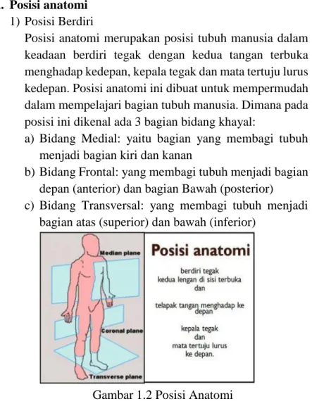 Gambar 1.2 Posisi Anatomi 