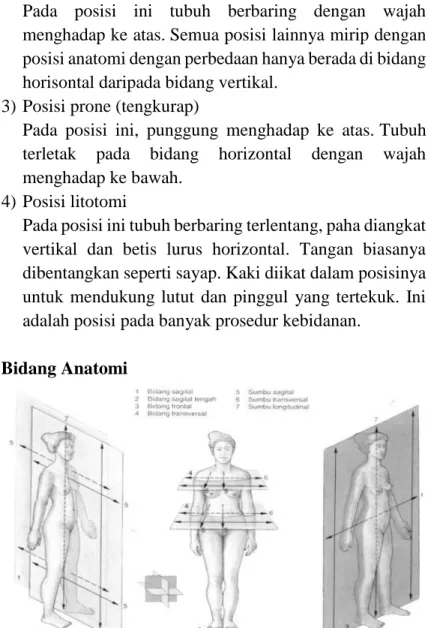 Gambar 1.3 Posisi Anatomi 