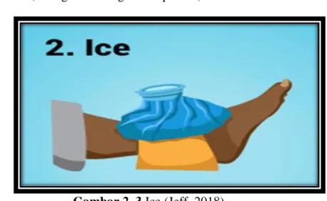 Gambar 2. 3 Ice (Jeff, 2018) 