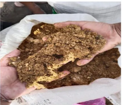 Gambar 6 Baglog Jamu Tiram 