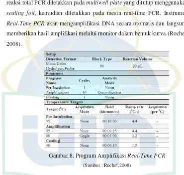 Gambar.8. Program Amplifikasi Real-Time PCR 