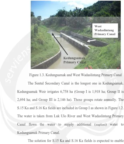 Figure 1.3. Kedungsamak and West Wadaslintang Primary Canal 