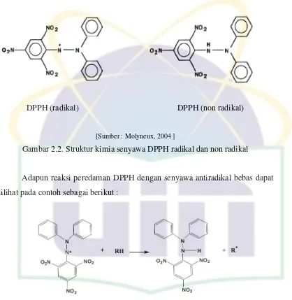 Gambar 2.2. Struktur kimia senyawa DPPH radikal dan non radikal 