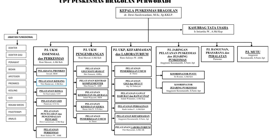 Gambar 1.3 Struktur Organisasi  Puskesmas Bragolan STRUKTUR ORGANISASI  
