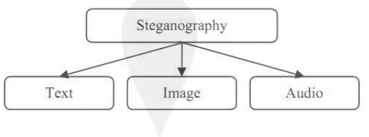 Gambar 2.2 Diagram tipe media steganografi (Nosrati et al, 2011) 