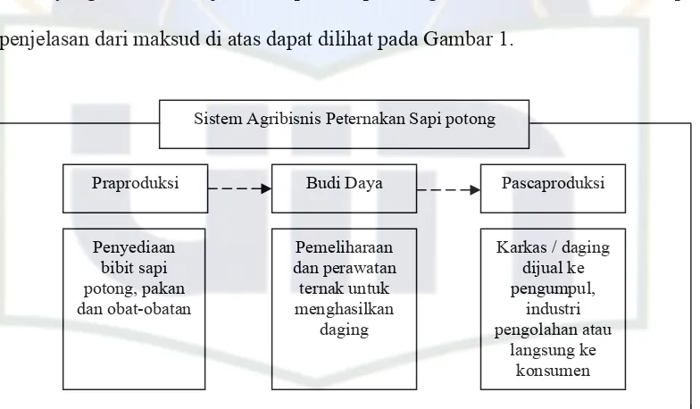 Gambar 1. Sistem Agribisnis Sapi Potong Sumber : Rahardi & Hartono (2005:16) 