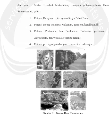 Gambar I.1: Potensi Desa Tamanagung  Sumber: RPLP Desa Tamanagung 2010 